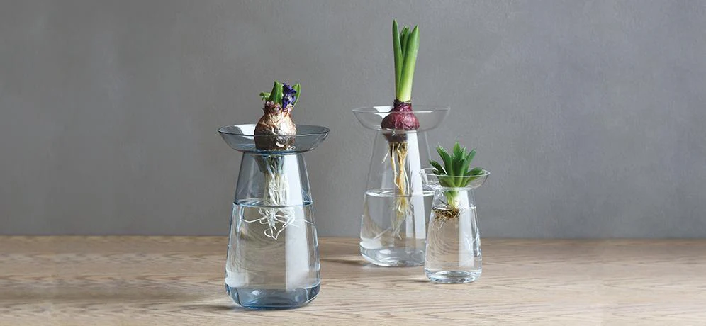 AQUA CULTURE Vase 120mm - Image 6