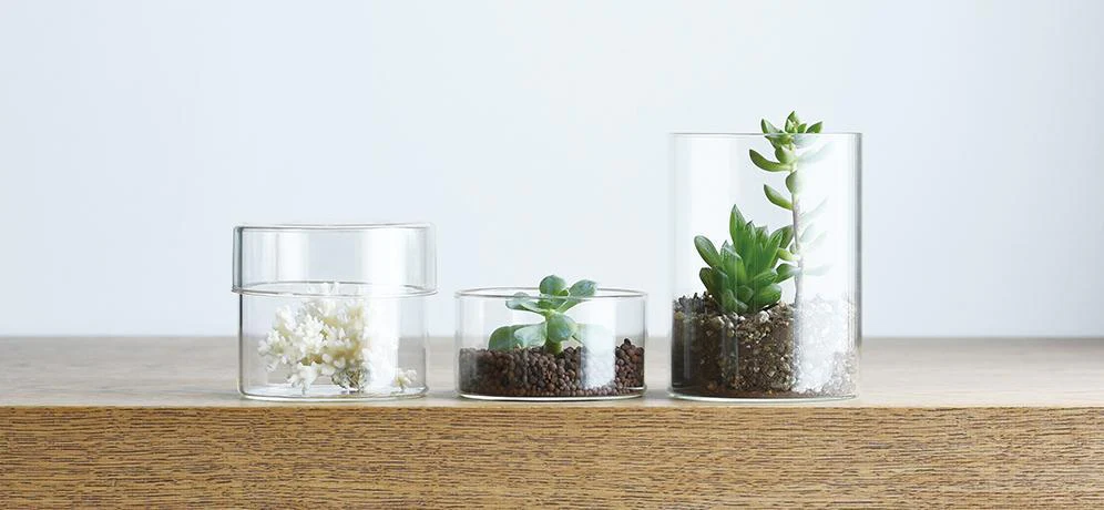 SCHALE Glass Case Medium - Image 2